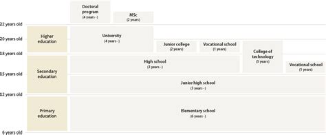 Japan School System