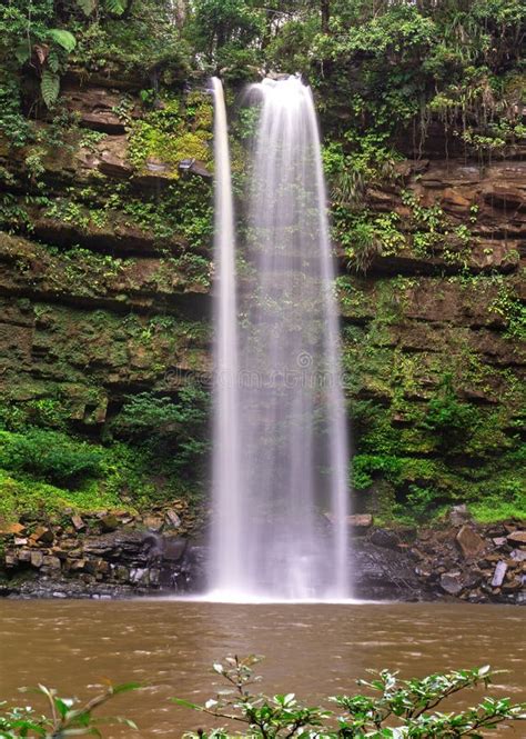 Ginseng Waterfall in Maliau Basin Stock Image - Image of park, plant: 120179185