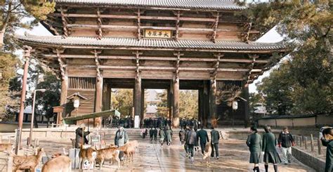 The BEST Nara Tours and Things to Do in 2022 - FREE Cancellation | GetYourGuide