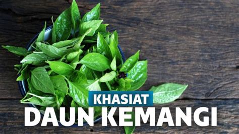 12 Manfaat Daun Kemangi untuk Pria dan Wanita