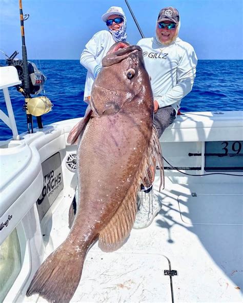 Types of Grouper in Florida: A Comprehensive Guide to Findin - Florida Sportsman