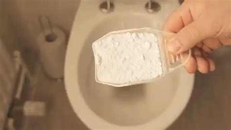 Can You Clean a Toilet With Bleach: 6 Steps [Easy Shortcut]