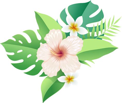 Tropical Hibiscus Flowers Clipart 713084 Pinclipart - vrogue.co