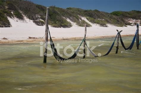 Paradise Lagoon In Jericoacoara Stock Photo | Royalty-Free | FreeImages