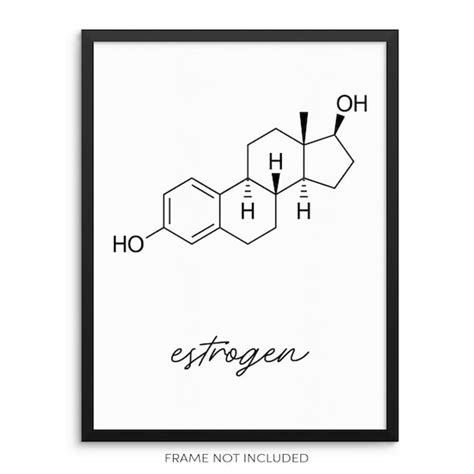 Estrogen Molecule Wall Art Print Molecular Structure Poster | Etsy