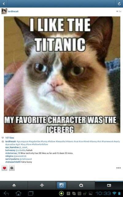 Top 74+ imagen titanic cat meme - abzlocal fi