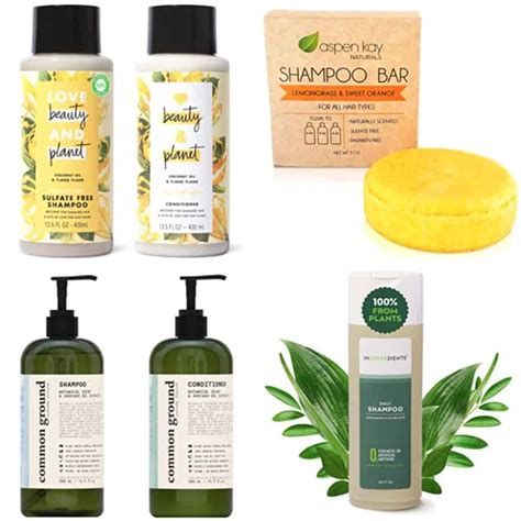 Healthy Food: Top 10 Best Vegan Shampoo Brands