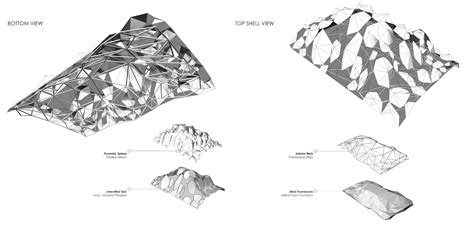 STARFISH ANATOMY - Anita Hsieh