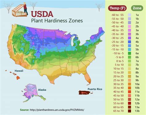 Whose Zone is it Anyway? A Breakdown of Plant Hardiness Zones, Frost ...