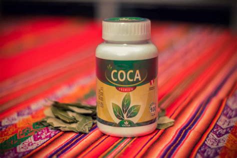 Coca Leaf Capsules (100 x 500mg) for Sale - Buy - Andean Leaves