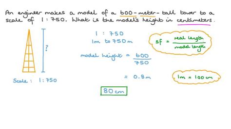 Lesson: Scale Drawings and Models | Nagwa