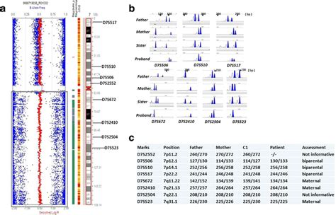 a The scatterplot representation of SNP microarray revealed the mosaic... | Download Scientific ...