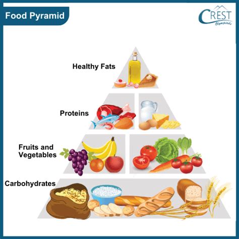 Components of a Balanced Diet and Food Pyramid Class 3 Notes | Science Olympiad