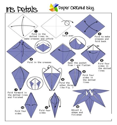 9+Easy Iris Origami - Kaydensz