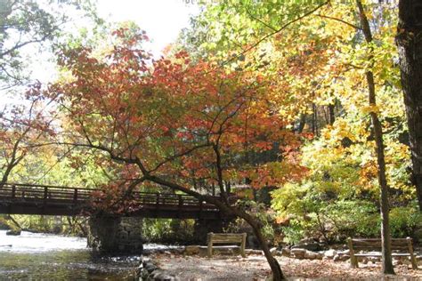 Stephens State Campground, Stephens Park, NJ: 3 Photos