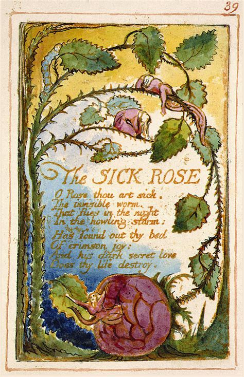 The Sick Rose - Wikipedia