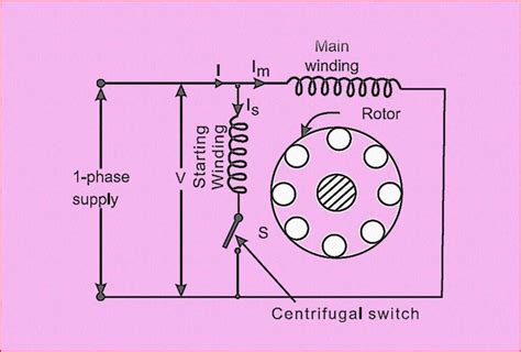 Split Phase Induction Motor: Working & Best Applications