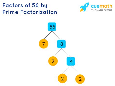 Express 56 as a Product of Its Prime Factors - LoreleikruwBenitez
