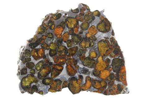 Pallasite Meteorites For Sale - FossilEra.com