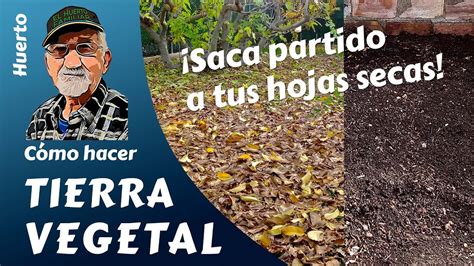 𝗧𝗜𝗘𝗥𝗥𝗔 𝗩𝗘𝗚𝗘𝗧𝗔𝗟: CÓMO HACER TIERRA VEGETAL - YouTube