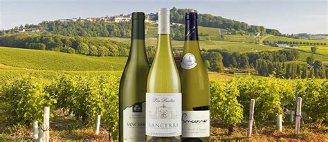 Sancerre | Local Wine Appellation From Cher, France | TasteAtlas