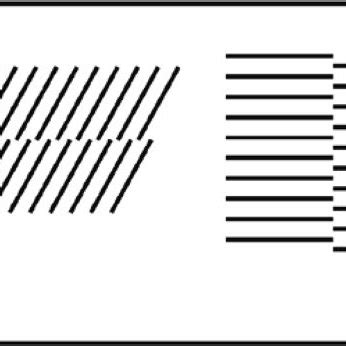 Examples of illusory contours. (A) Kanizsa triangle. (B) Contours... | Download Scientific Diagram