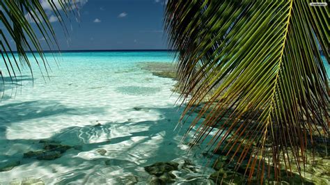 Desktop Wallpaper 1366x768 Tropical Beach - WallpaperSafari