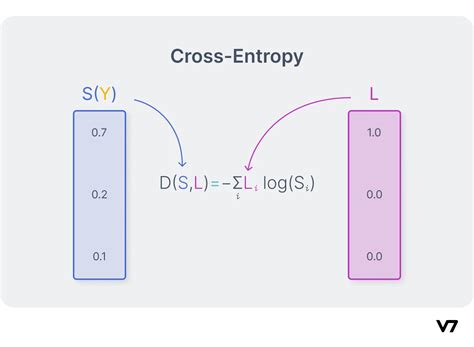 Cross Entropy Loss: Intro, Applications, Code