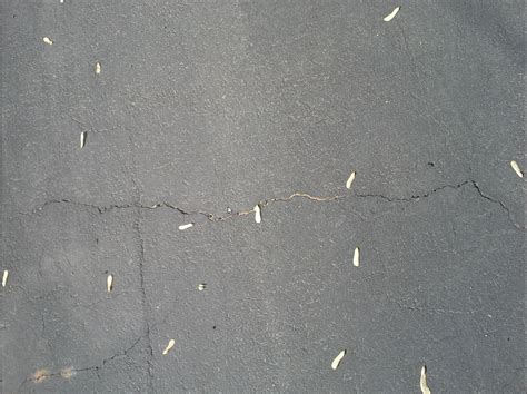 asphalt - Driveway crack repair work failed over the winter, how can I ...
