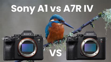 Sony A1 vs A7R IV – The Key Differences - AlphaShooters.com