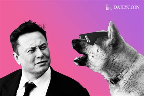 Dogecoin (DOGE) Plunges 20% as Elon Musk Contemplates Twitter ...