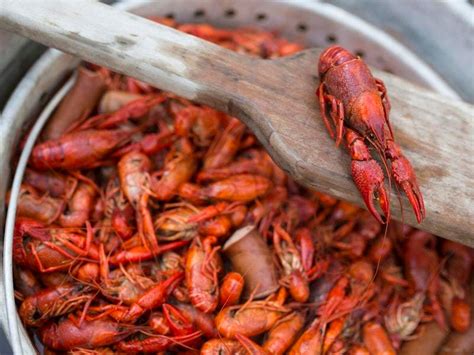 This crayfish ripped its own claw off to escape being cooked in a spicy ...