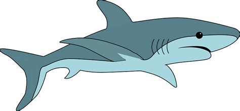 Shark clipart. Free download transparent .PNG | Creazilla