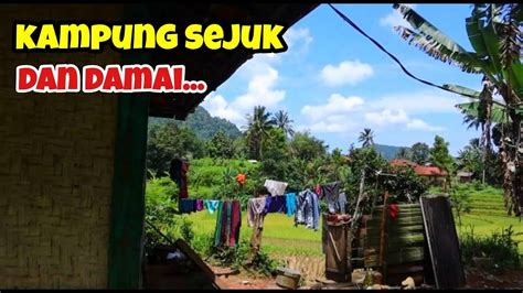 Keindahan Suasana Pedesaan Di Tengah Sawah l Suasana Kampung Yang Indah Di Kampung Bobojong ...