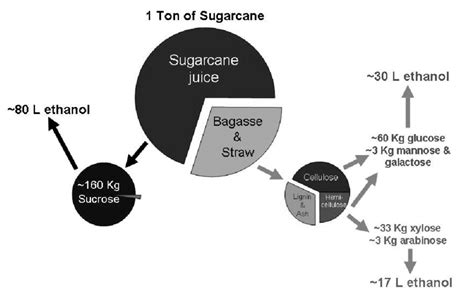 Bioethanol production from sugarcane [current technology of sugarcane ...