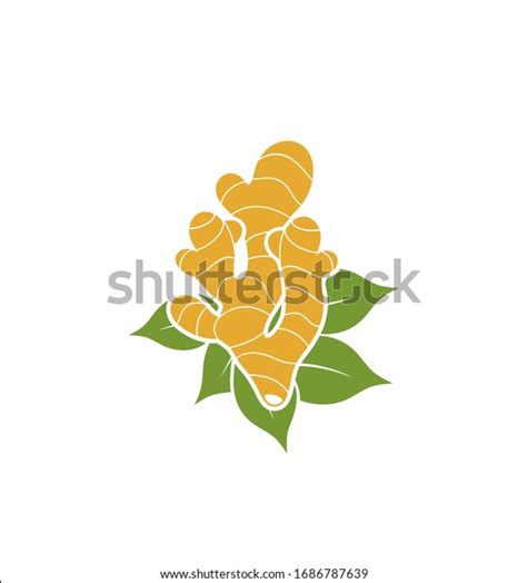 Ginger Logo Isolated Ginger On White Stock Vector (Royalty Free) 1686787639