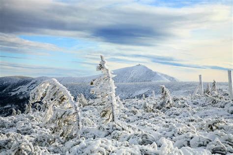 Śniezka peak stock photo. Image of mountain, national - 229195550