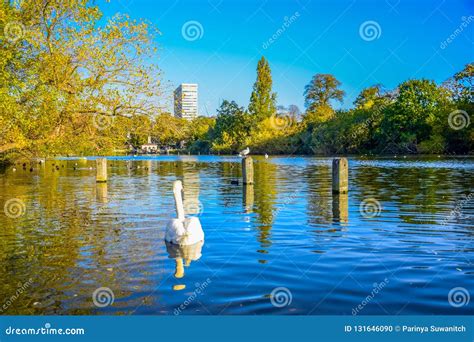 Serpentine Lake in Hyde Park, England Stock Photo - Image of pond, long: 131646090