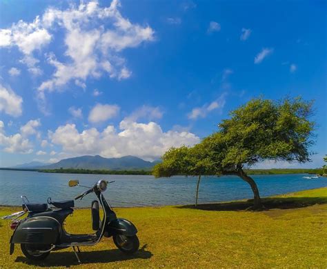 Taman Nasional Bali Barat - Eksotisme Pulau Dewata