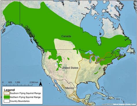 Southern Flying Squirrel Habitat