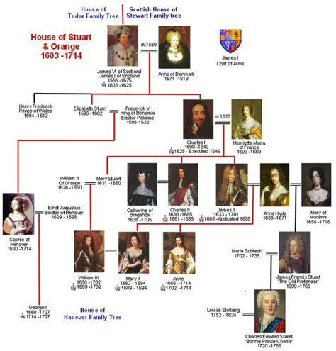 Plantagenets - Jungian Genealogy, by Iona Miller