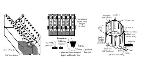 Introduction to Aeroponic Grow Systems