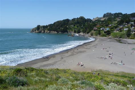 Where ever I go...: Muir Beach- California