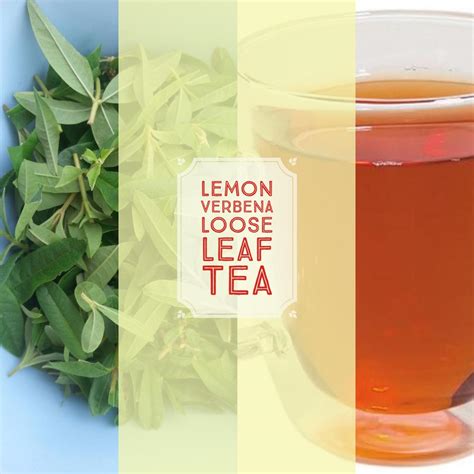 Lemon Verbena-loose leaf tea SOLD OUT, please check back – Californian ...