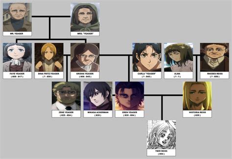 My ATTACK ON TITAN family tree by KallyxMansion55 on DeviantArt