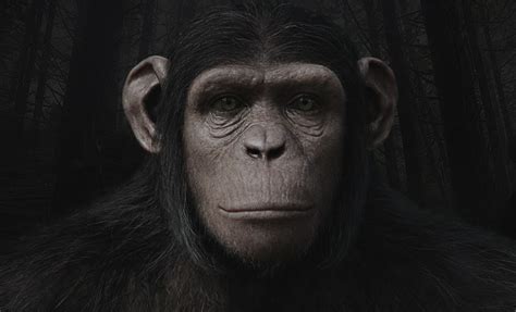 Image - Cornelia.png | Planet of the Apes Wiki | FANDOM powered by Wikia