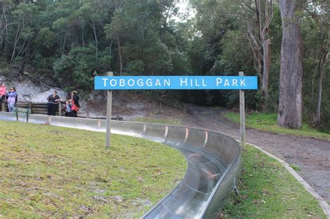 Toboggan Hill Park