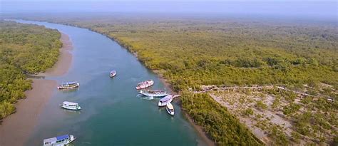 Sundarban National Park: A Wildlife Haven For Tourists To Explore