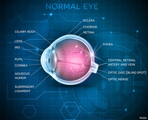 IMPLANT INFORMATION about Eye Implants – THE IMPLANT REGISTER