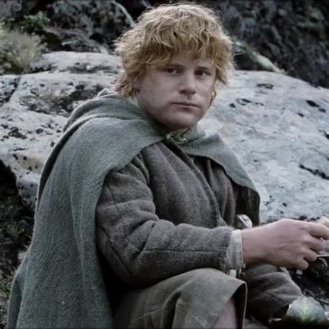 Rooted hair color for Samwise?